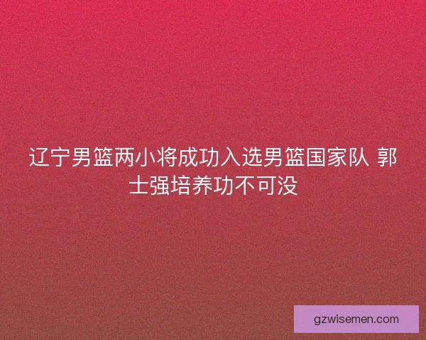 辽宁男篮两小将成功入选男篮国家队 郭士强培养功不可没